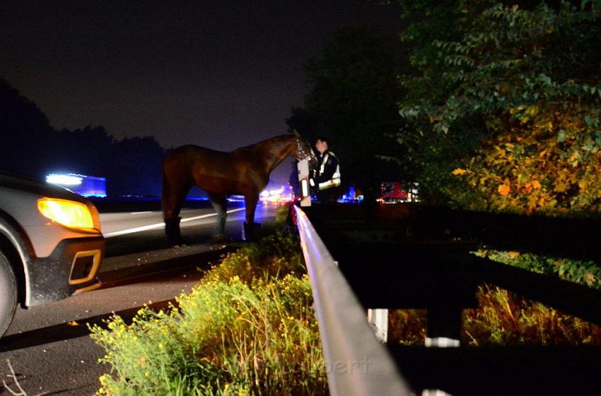 VU A3 Rich Koeln AS Lohmar Rastplatz Koenigsforst  P48.jpg